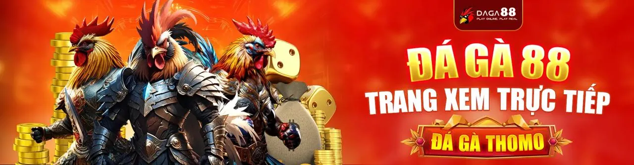 Hình ảnh chính W9BET Code – Nền tảng cá cược trực tuyến hàng đầu